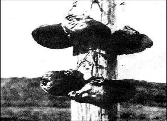 //mmbiz.qpic.cn/mmbiz_jpg/spO9QYn2T9Zkn9tbWEjoJFQFbB3uC5xzzoyLXK018DFh6zK364Cw9GtBdWs8kicYPsnYmOqkjFRMUYgEhlKvSkA/640?wx_fmt=jpeg&wxfrom=5&wx_lazy=1&wx_co=1